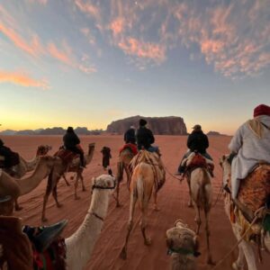 Camel rides across the red dunes